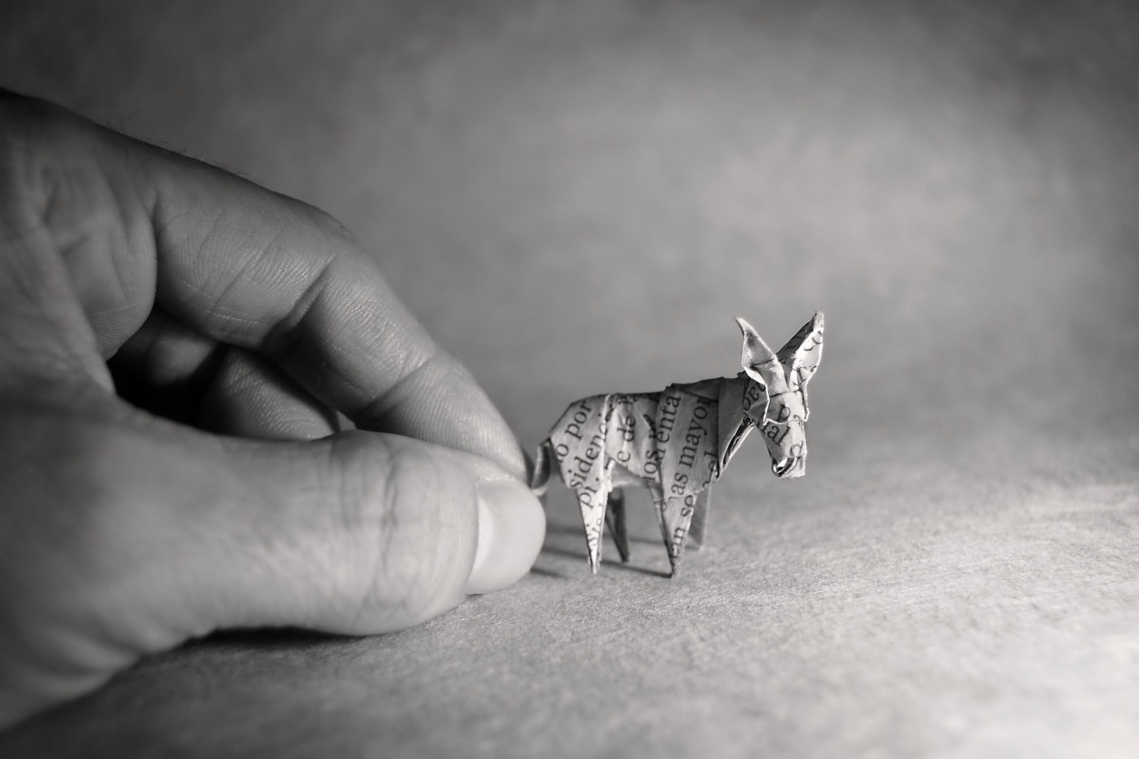 mano, origami, Burro