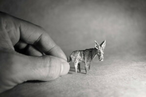 donkey, hand, origami