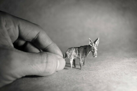 Burro, mano, origami