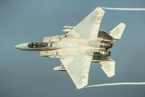 Águila, F-15C, Combatiente, el cielo