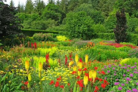 bunt, Devon, Blumen, Garten, Gras, Grüns, Park, Sommer-