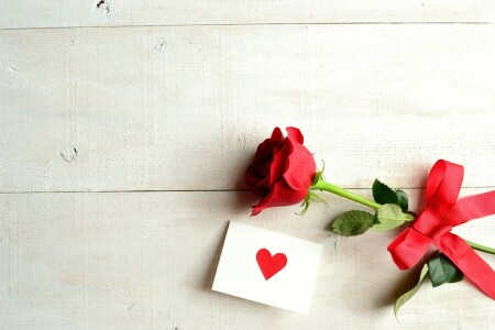 bow, flower, heart, postcard, rose, tape