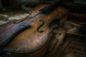 macro, La musique, violon