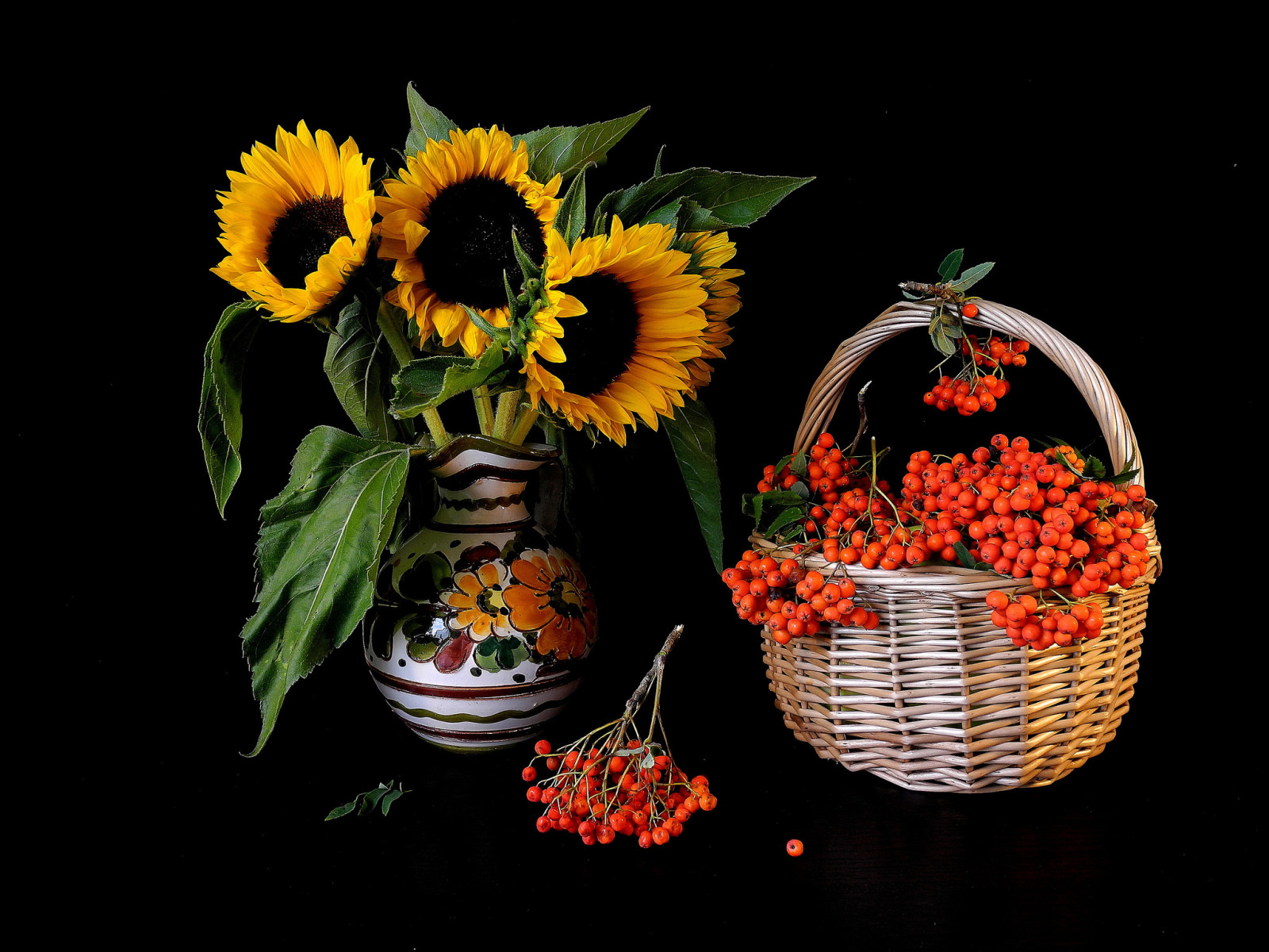 blomster, vase, kurv, Rowan, solsikke