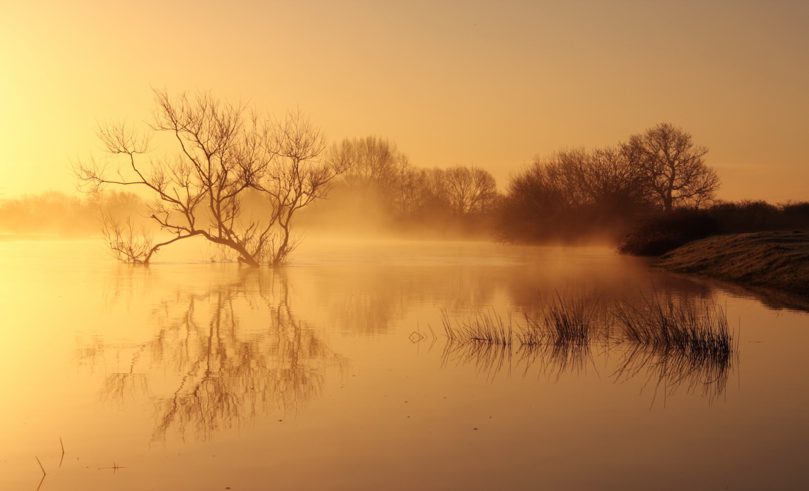 natur, sjö, landskap, morgon-, dimma