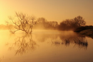 Nebel, See, Landschaft, Morgen, Natur