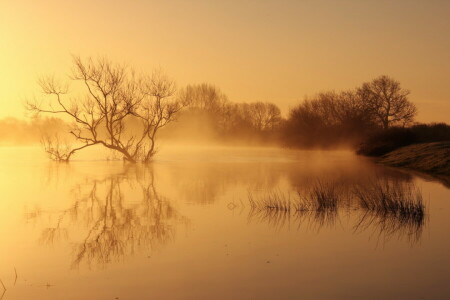 mist, meer, landschap, ochtend-, natuur