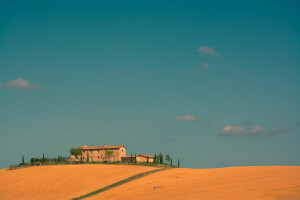 boerderij, veld-, huis, Italië, de lucht, bomen, Toscane