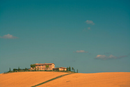 boerderij, veld-, huis, Italië, de lucht, bomen, Toscane