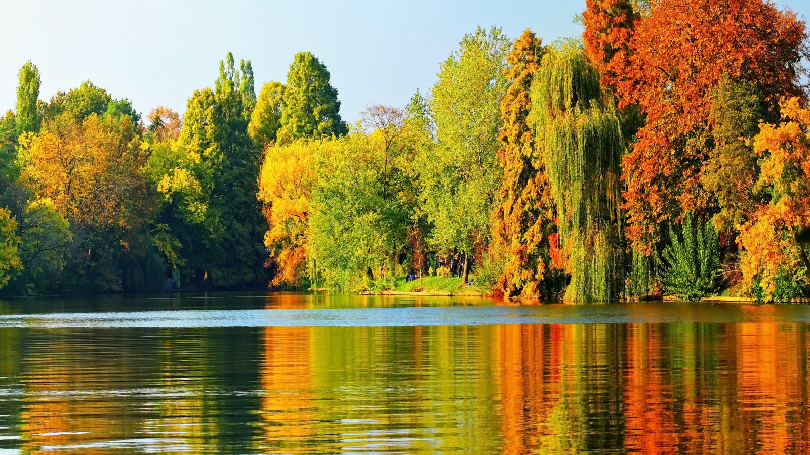 albero, autunno, natura, lago, paesaggio, alberi, le foglie