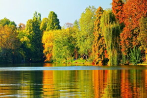 otoño, lago, paisaje, hojas, naturaleza, árbol, arboles