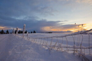 strada, neve, tramonto, la recinzione