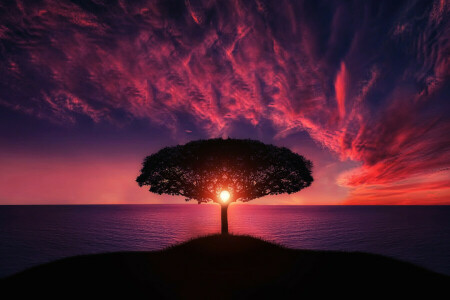 landscape, sunset, tree