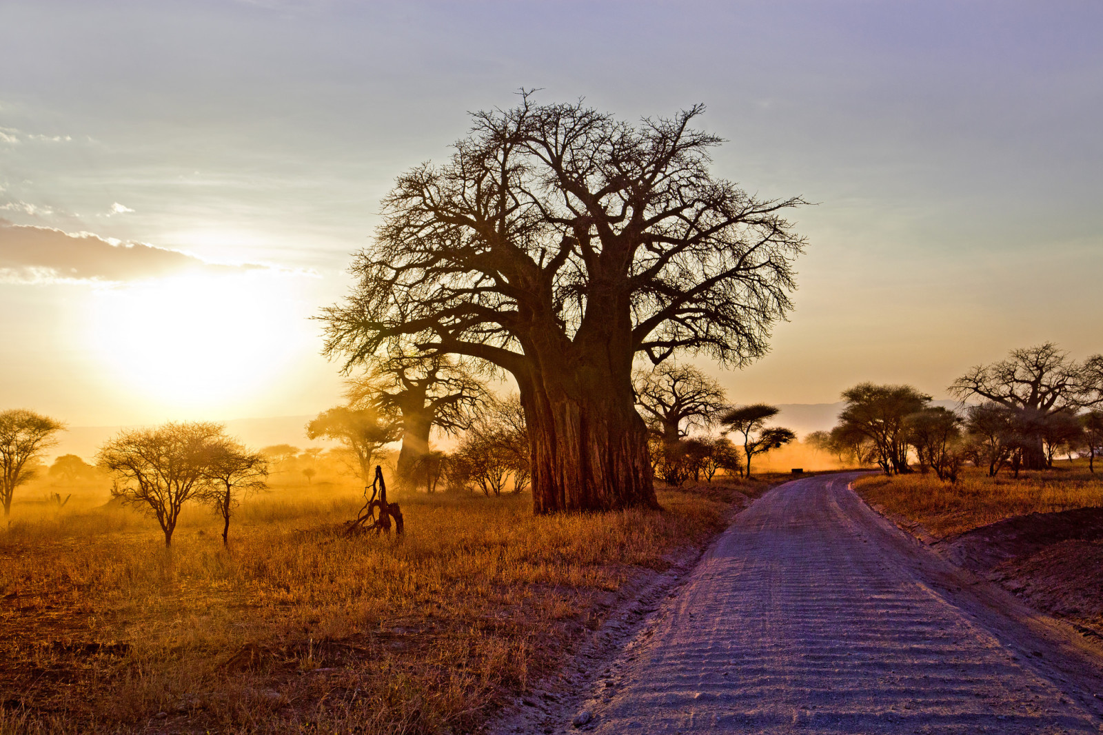 landschap, weg, ochtend-, Afrika