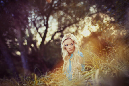 blond, Bokeh, Mädchen, Gras, langhaarig