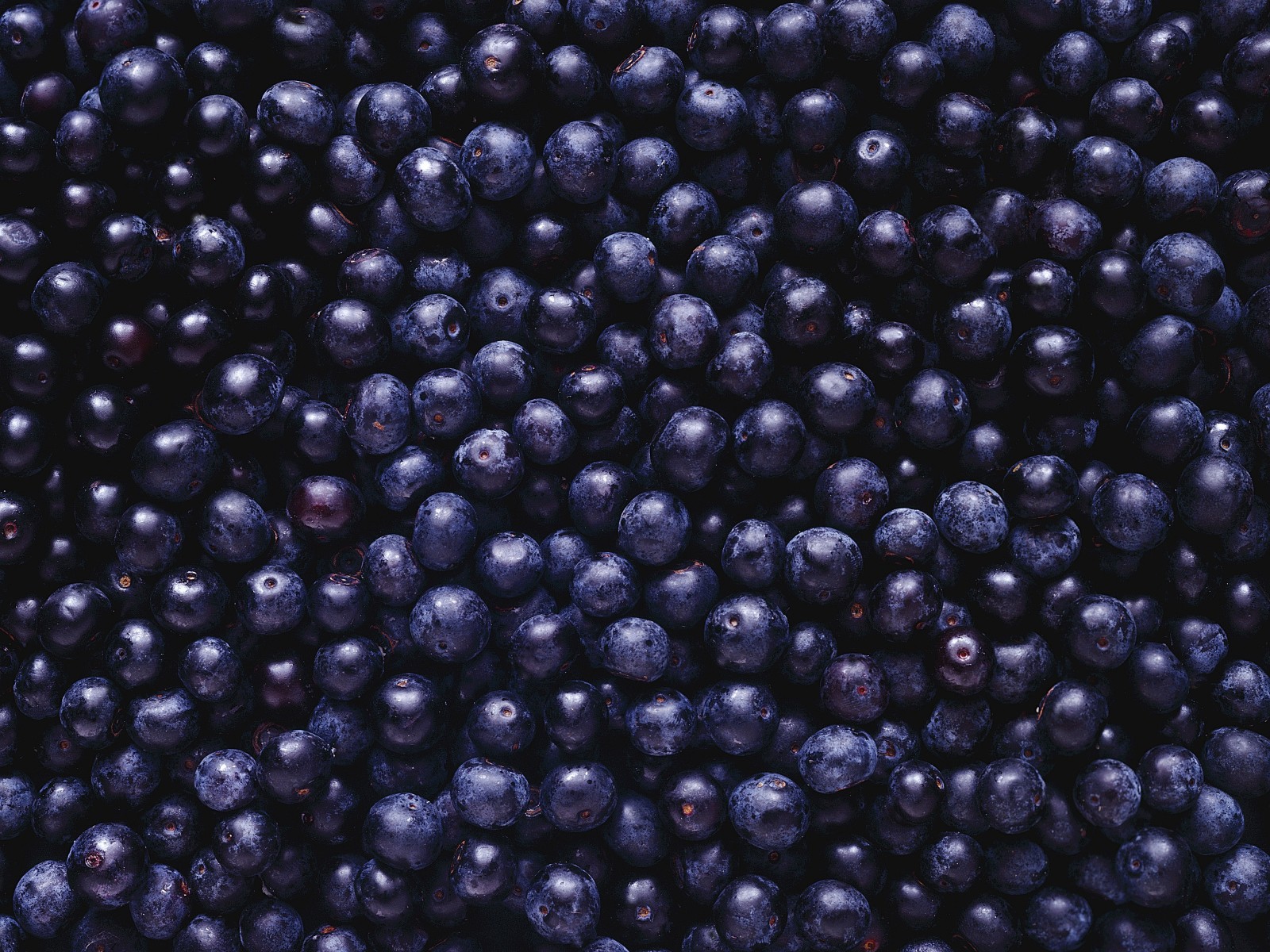 schwarz, Beeren, viel, Blaubeeren