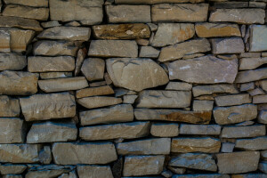 house, pies, Pirogovo, stone, texture, Ukraine