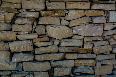 house, pies, Pirogovo, stone, texture, Ukraine