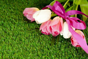 bouquet, bow, grass, lawn, tape, tulips