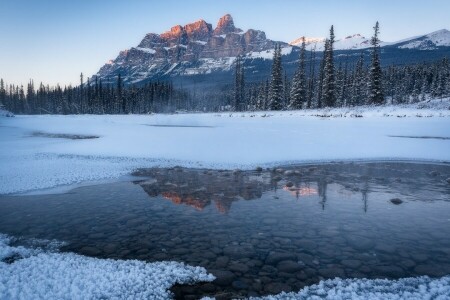 forest, nature, river, snow, stones, water, winter