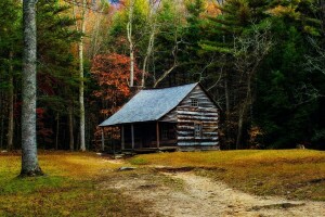 Aaron Woodall, forest, house, photographer, the edge