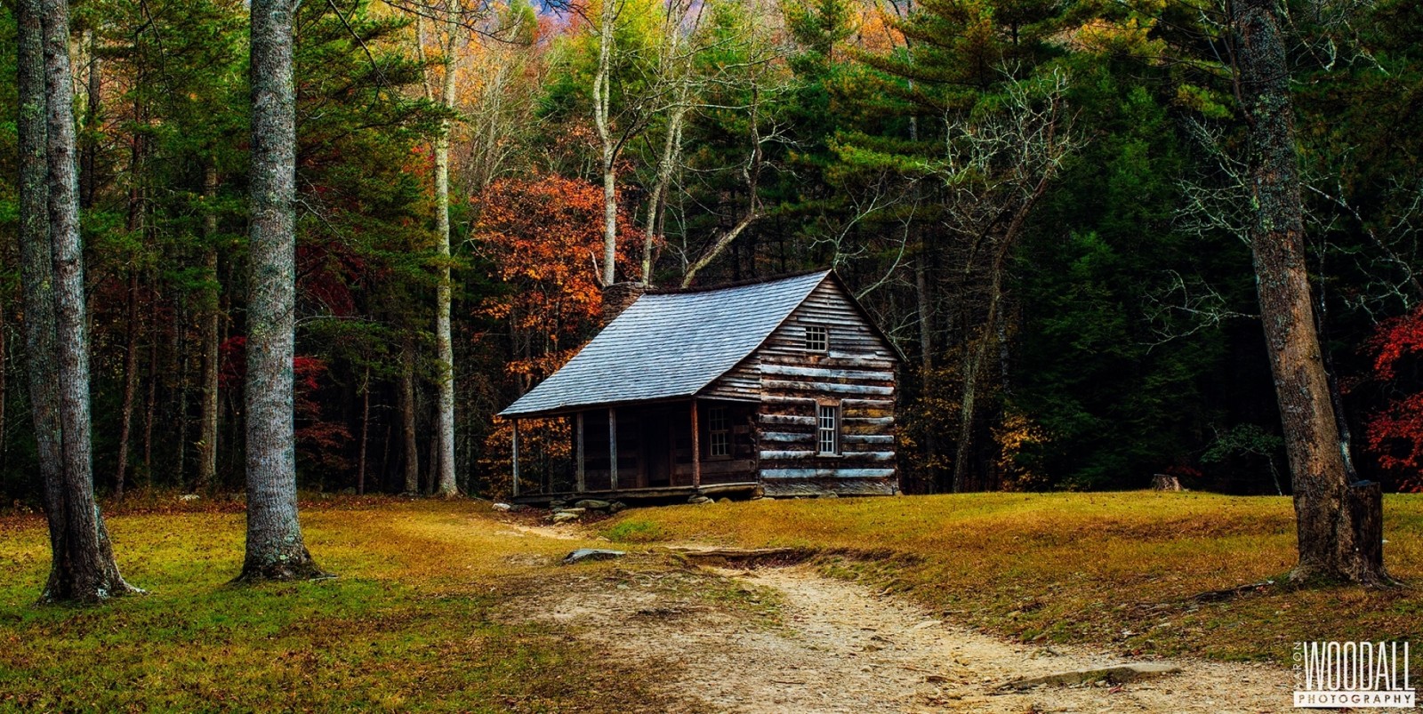 forêt, maison, photographe, le bord, Aaron Woodall