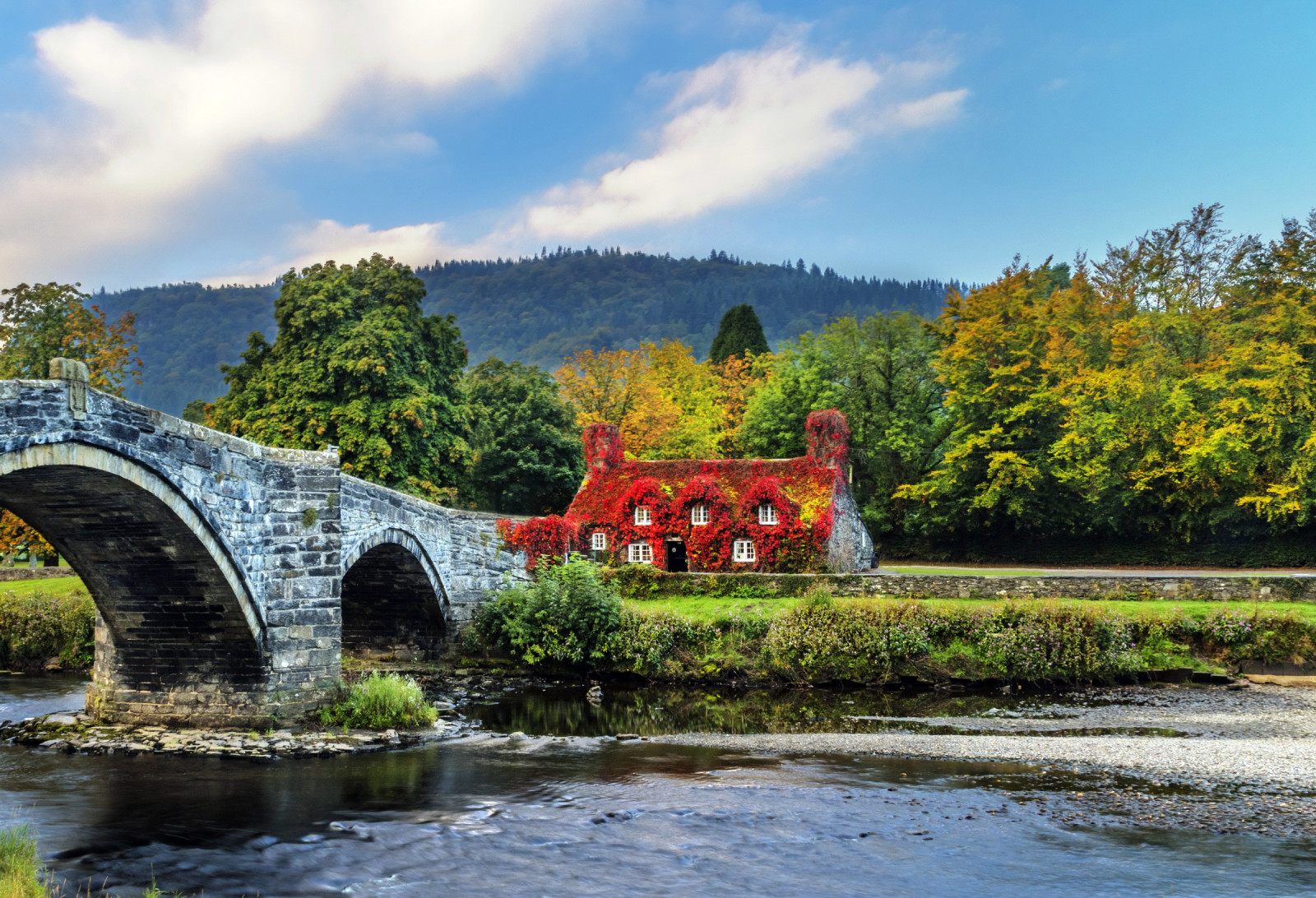 les, Dům, řeka, stromy, Most, Spojené království, Wales, design