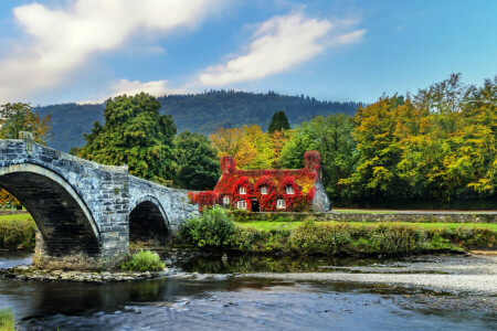 Bro, design, skog, hus, Llanrwst, flod, träd, Storbritannien