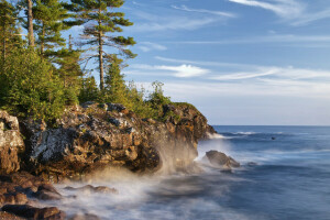 Algoma District, Kanada, Küste, Große Seen, See, Lake Superior, Ontario, Kiefer