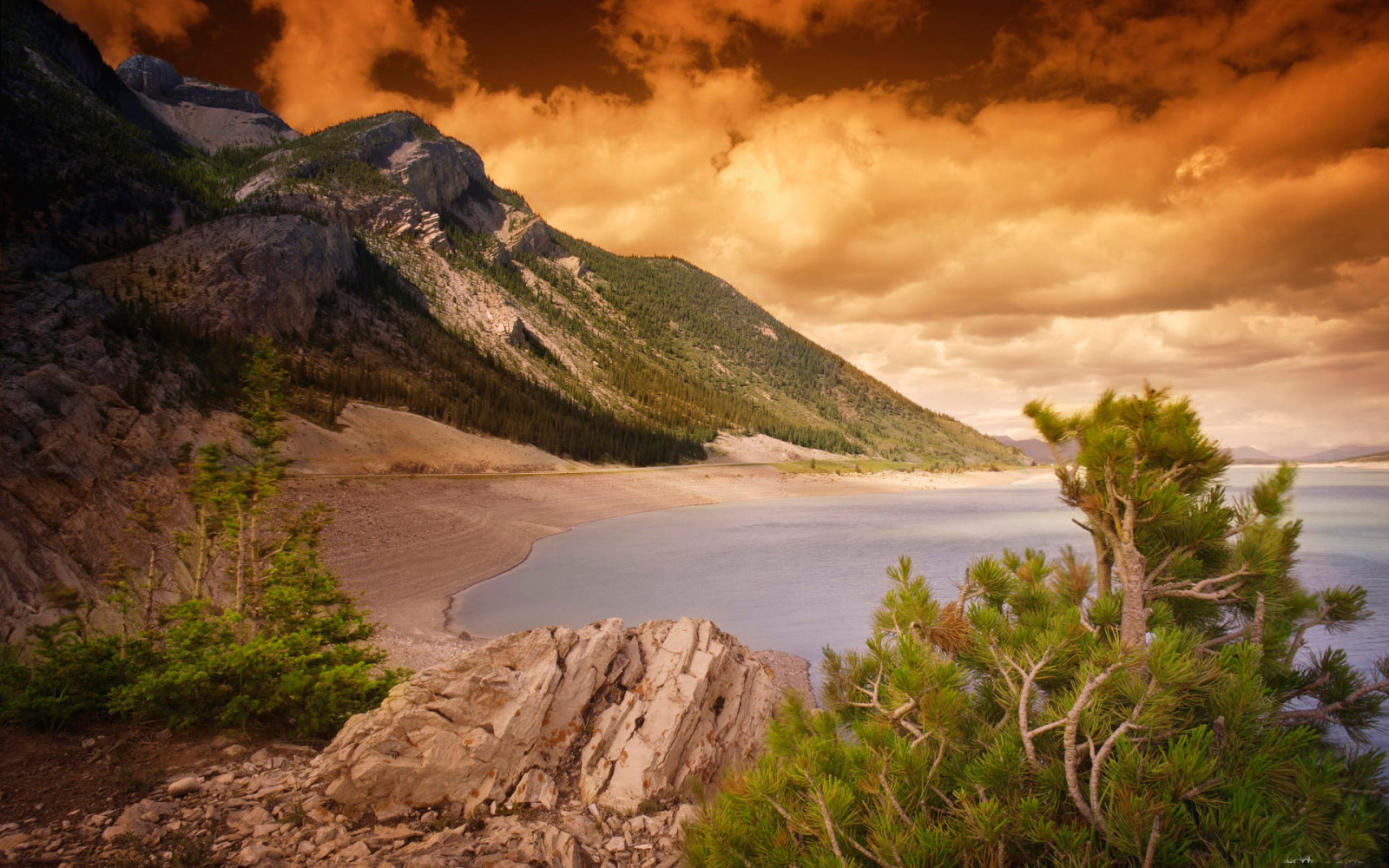 the sky, Needles, shore, sea, trees, clouds, mountains, The ocean