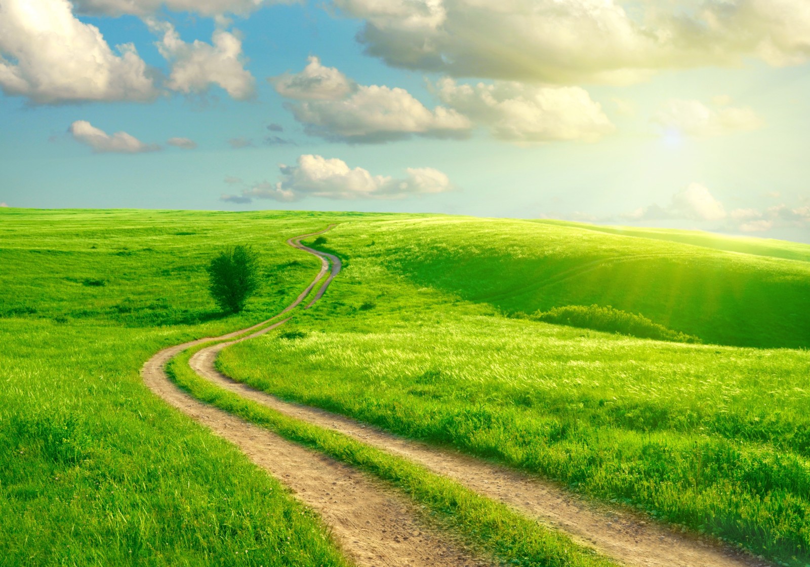 Gras, der Himmel, Straße, Grüns, Feld, Wolken, Spur, Die Sonnenstrahlen