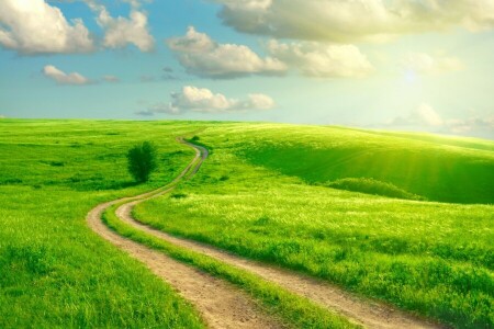 clouds, field, grass, greens, road, The rays of the sun, the sky, track