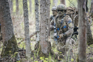 Guardia Nacional Aérea de Alaska, Soldados, armas