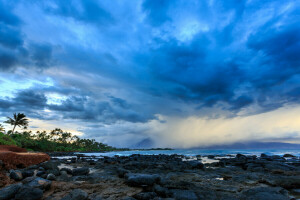 Hawaii, natuur, palmbomen, storm, De oceaan