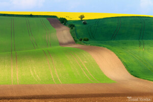 Repubblica Ceca, campo, Moravia meridionale, primavera, il cielo