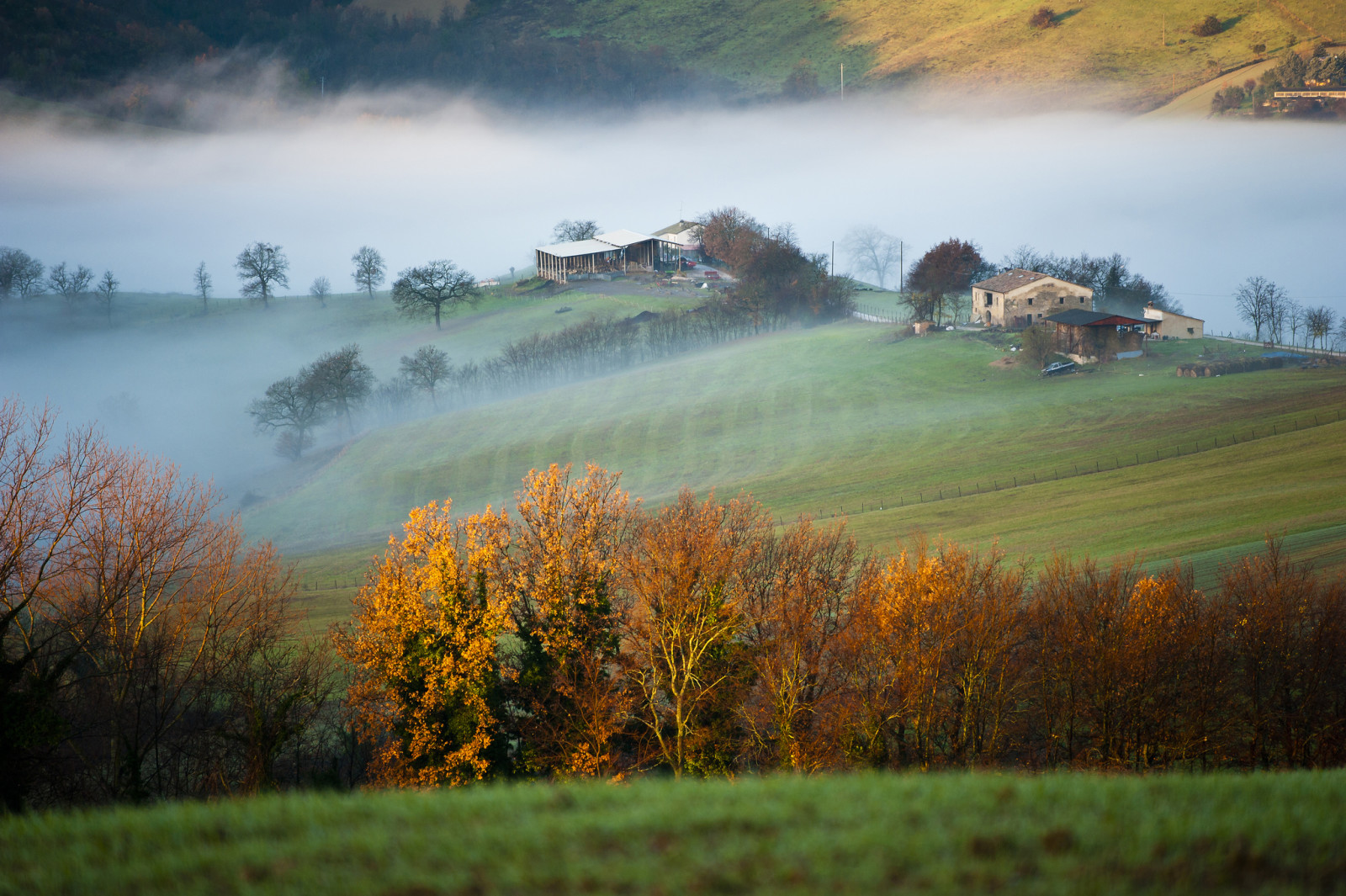 huis, bomen, veld-, ochtend-, bergen, Italië, mist