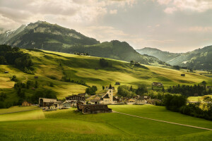 Alps, fält, grönt, Hem, ängar, bergen, schweiz, träd