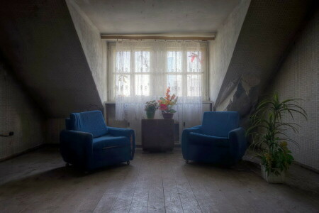 chairs, room, window