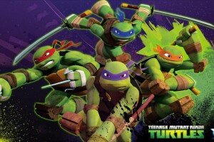 2012, Χελωνονιντζάκια, TMNT