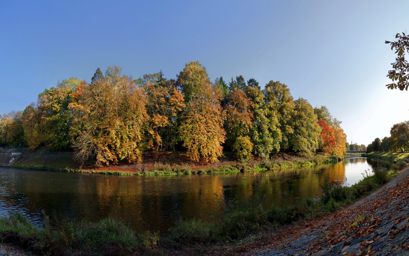 Woud, de lucht, rivier-, bomen, eiland