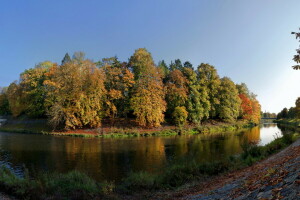 skog, ö, flod, himmelen, träd