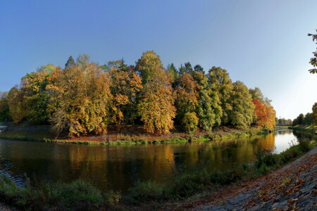 foresta, isola, fiume, il cielo, alberi