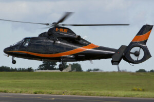 helikopter, multipurpose, SA-365N1