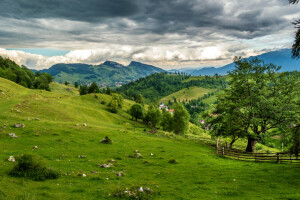 Brasov, skyer, felt, gress, grønt, enger, fjellene, Romania