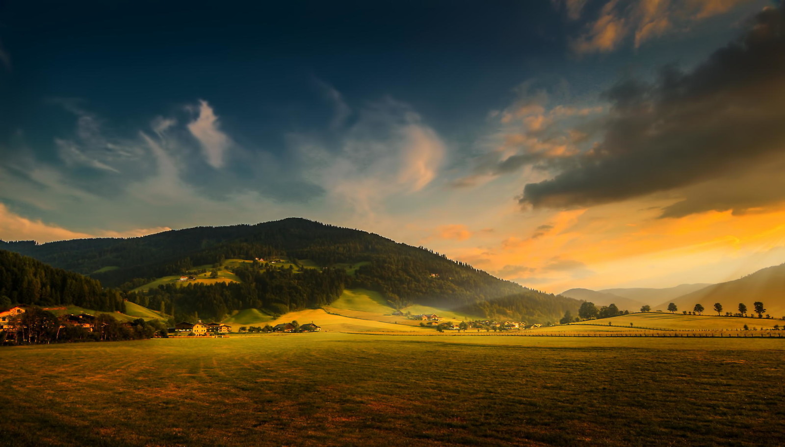 pădure, natură, Munte, camp