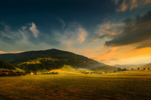 champ, forêt, Montagne, la nature