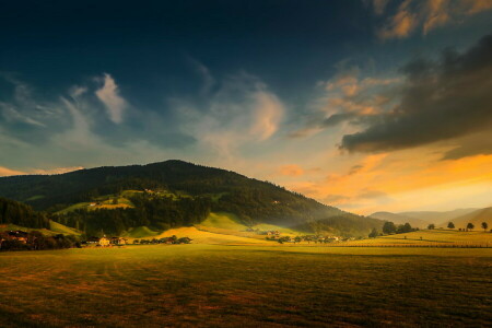 campo, bosque, Montaña, naturaleza