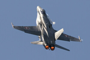 FA-18C, Fighter, flyvningen, Gedehams, Multipurpose