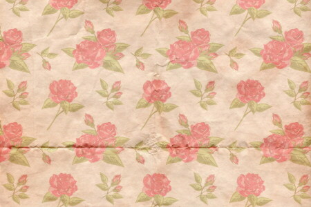 fundo, floral, enfeite, papel, padronizar, rosas, textura, vintage