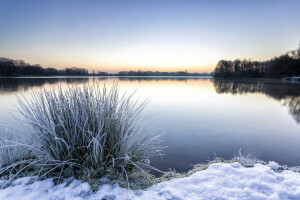 lago, nieve, invierno